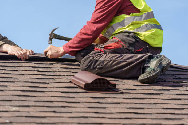 Best Roof Waterproofing Services  in Darien, IL