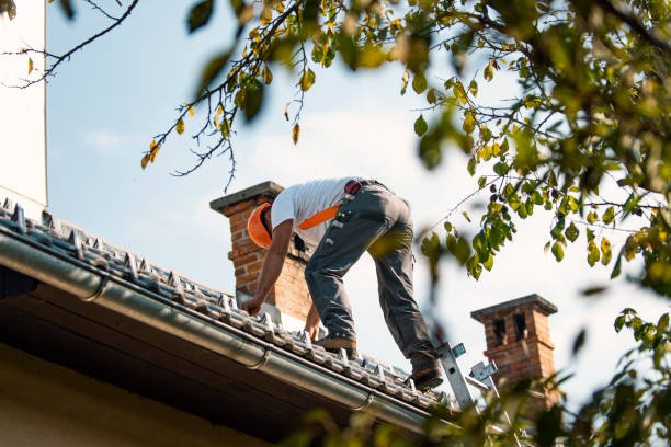 Slate Roofing Contractor in Darien, IL
